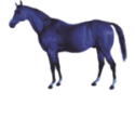 Visit Lex